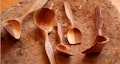 spoons-web.jpg Thumbnail